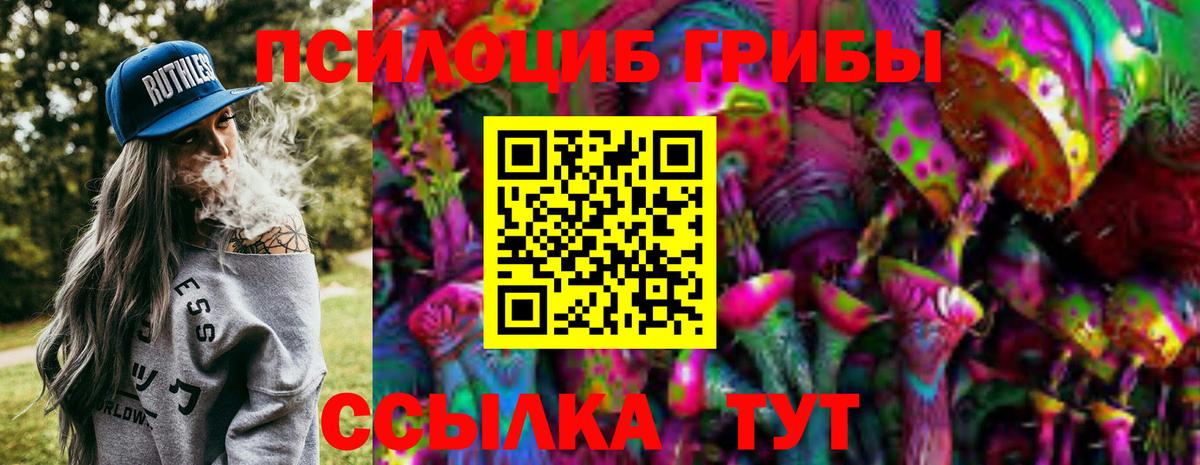 Псилоцибиновые грибы MAGIC MUSHROOMS Кызыл