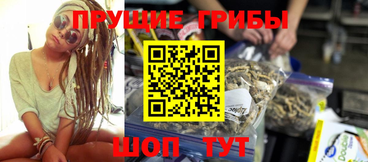 Кызыл  Псилоцибиновые грибы Psilocybine cubensis  Галлюциногенные грибы MAGIC MUSHROOMS  Вход с VPN 